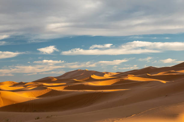 istock Colourful landscape in the Chebbi Desert, Morocco, during sunset 1462192418