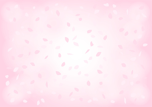 Floral pattern of cherry blossoms. Falling cherry blossoms. Vector illustration.