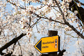 Sign almond trail in Almond tree orchard in Hustopece, South Moravia, Czech Republic