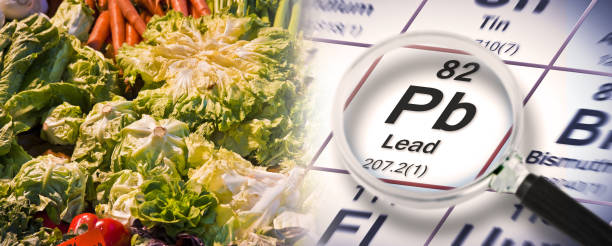 istock Lead pollution in vegetables - concept with the Mendeleev periodic table and fresh vegetables - HACCP (Hazard Analyses and Critical Control Points) Food Safety and Quality Control in food industry 1462198510