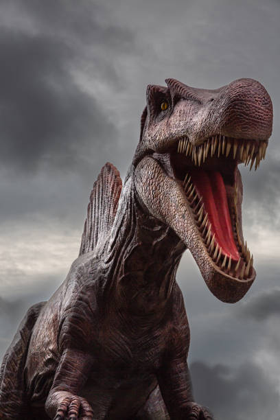 A Spinosaurus Dinosaur on the Leeds Dinosaur Trail A ferocious Dinosaur named Spinosaurus with mouth wide open and showing its razor sharp teeth against a dramatic sky with copy space spinosaurus stock pictures, royalty-free photos & images
