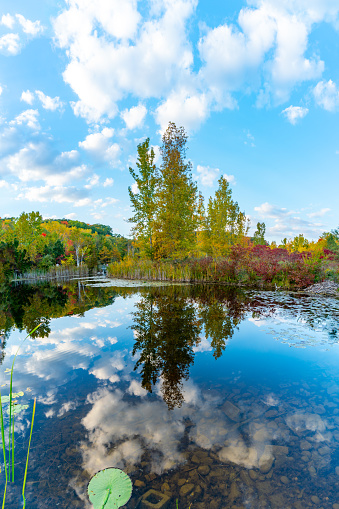 golden hour, wonderful autumn landscape by the river, beautiful reflection of the sky and forest in the water