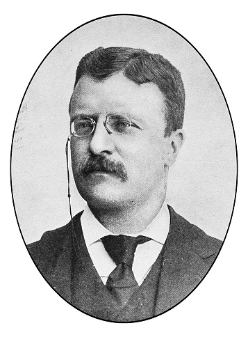 Portrait of notable New Yorkers: Theodore Roosevelt