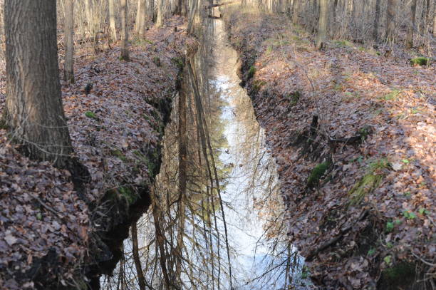 istock A small brook or stream or creek in a forest with trees reflecting in the water 1462202797