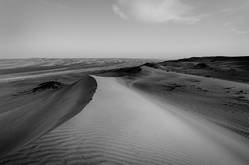 Sunrise on sand dunes in Sharqiya Sands (sometimes known asWahiba Sands), eastern Oman.
