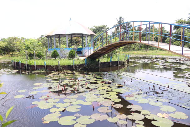 istock An amazing bridge on the pond in the park 1462205176