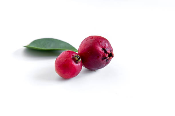 Red Cattley guava fruit on white background (Psidium cattleyanum)