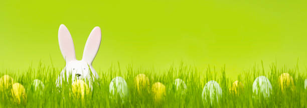 istock Easter egg hunt. Bunny rabbit and bunch of eggs on meadow and green background. Template for web banner, party flyer or greeting card with copy space 1462207994