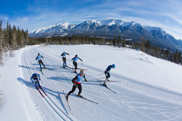 Cross-Country Ski Race stock photo