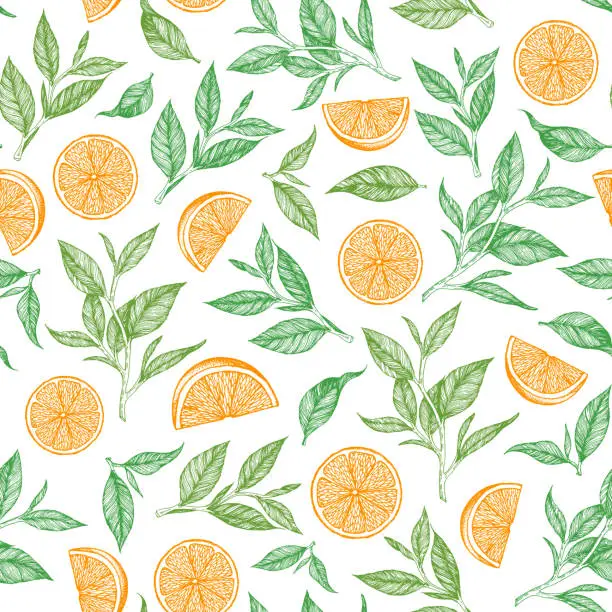 Vector illustration of Tea leaf seamless pattern. Hand drawn vector illustration. Citrus tea background, leaf and lemon slice. Design for vintage packaging. Engraved style.