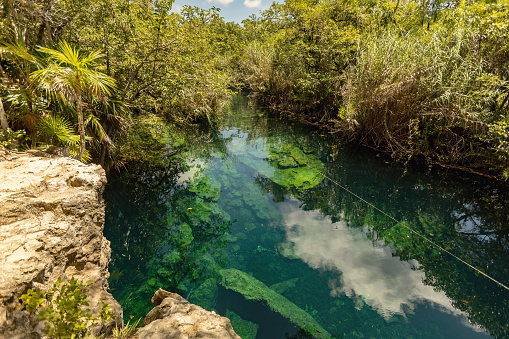 Amazing turquoise water cenote at casa Tortuga in Tulum, Mexican cenote natural beauty, Tulum, Mexico