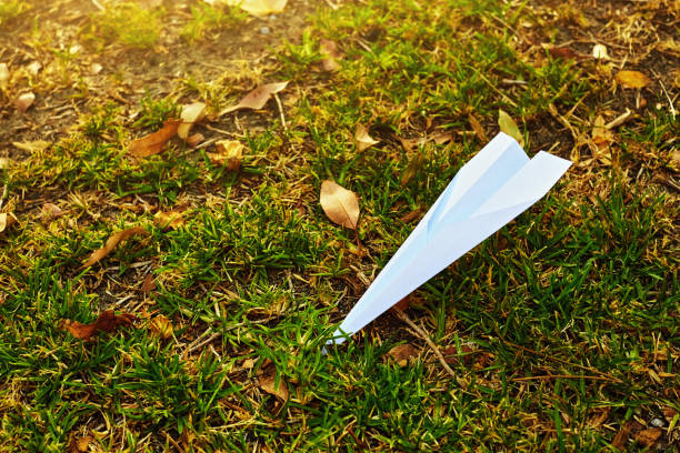 Paper jet with fallen autumn leaves on an unkempt grass area.