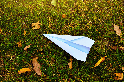 Paper jet with fallen autumn leaves on an unkempt grass area.