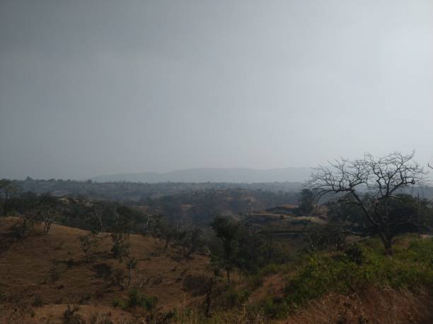istock Forest and village overview rajasthan indian 1462214427