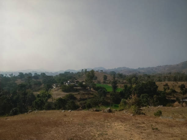 istock Forest and village overview rajasthan indian 1462214463