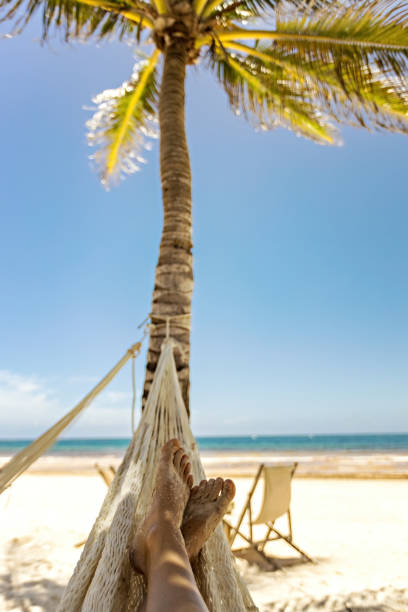 istock Woman's legs in the hammock against the ocean view 1462214660