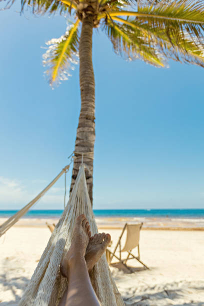 istock Woman's legs in the hammock against the ocean view 1462214678