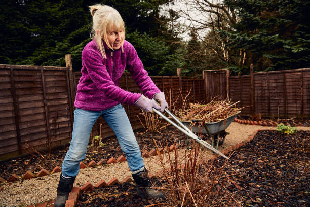 istock Woman pruning shrubs in winter 1462218103