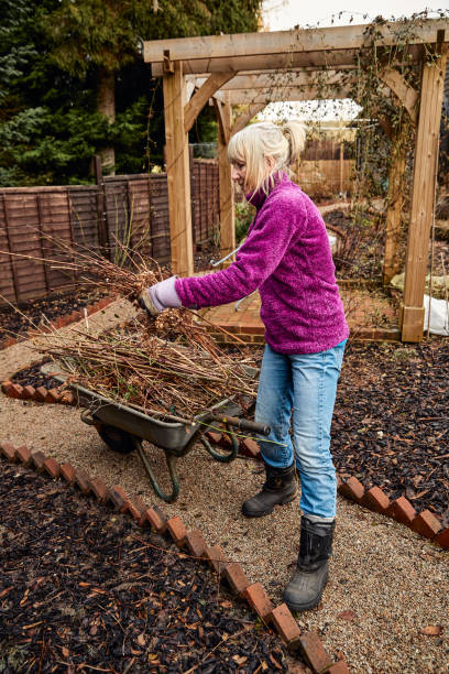istock Woman pruning shrubs in winter 1462218186