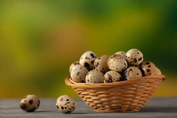 Fresh quail eggs in a small wicker basket on a natural background