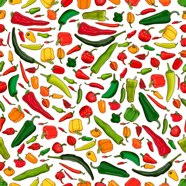 Seamless pattern with different types of peppers. Sweet peppers. Mild and medium hot Chili peppers. Super hot peppers. Cartoon style. Vegetables. Vector illustration isolated on white background. Seamless pattern with different types of peppers. Sweet peppers. Mild and medium hot Chili peppers. Super hot peppers. Cartoon style. Vegetables. Vector illustration isolated on white background. serrano chili pepper stock illustrations