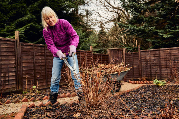 istock Woman pruning shrubs in winter 1462218893