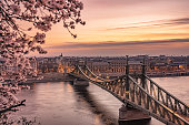 Blossoming view of the Liberty bridge, Budapest, capital of Hungary