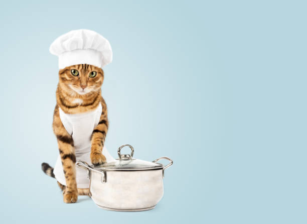 istock A cute red cat and a white chefs hat. Isolated on a colored background. Studio photo. 1462221472