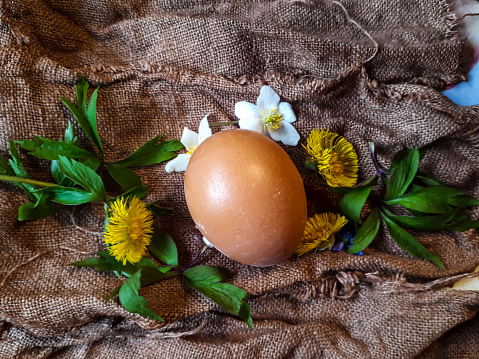 Home made traditional Easter egg coloring by using different leaves, plants and flowers