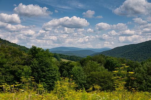 Andes, NY, USA - July 24, 2021. Photograph taken at the top of The Palmer Hill Trail overlook, a famous hiking trail in the western range of the Catskill Mountains of New York.  Beautiful blue sky and white clouds on a picture-perfect summer day.