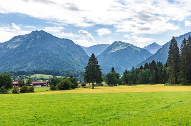 Bavaria Suburb Scene Scenery images of Bavaria suburb, peaceful and idyllic bavarian forest stock pictures, royalty-free photos & images