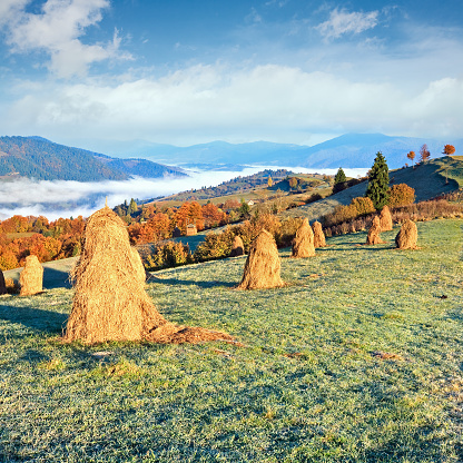 Autumn misty morning plateau with stack of hay(Mighgirya village outskirts, Carpathian Mt's, Ukraine).