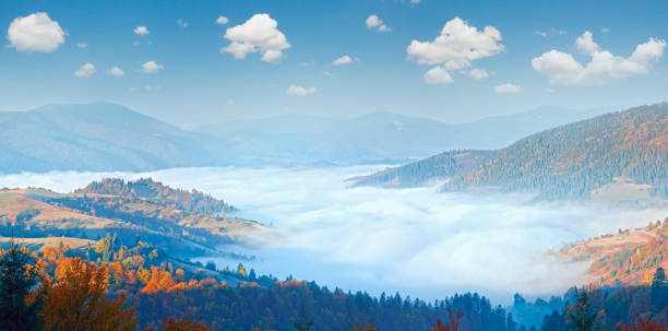istock Autumn misty morning mountain panorama (Carpathian , Ukraine) 1462242446