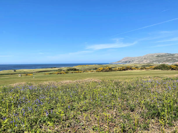 istock A view of the North Wales Coast 1462242668