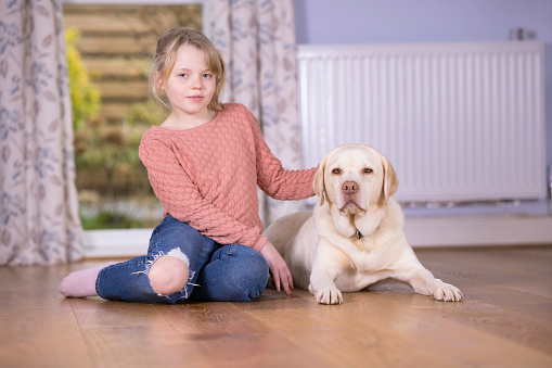 Ten-year-old girl with fair hair sitting on the floor with her Labrador. Focus on dog.