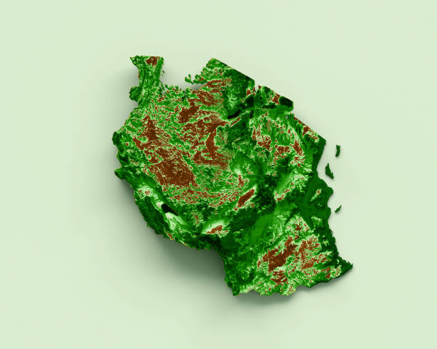 istock Tanzania Topographic Map 3d realistic map Color 3d illustration 1462259106