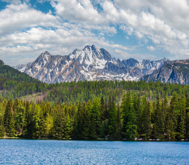 istock Strbske Pleso mountain lake spring view, Slovakia 1462261418