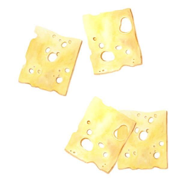 Set of yellow cheese slices with holes. Watercolor illustration isolated on white background Set of yellow cheese slices with holes as Emmental, Swiss-type. Hand drawn watercolor illustration isolated on white background. For clip art, menu, label, food package swiss cheese slice stock illustrations