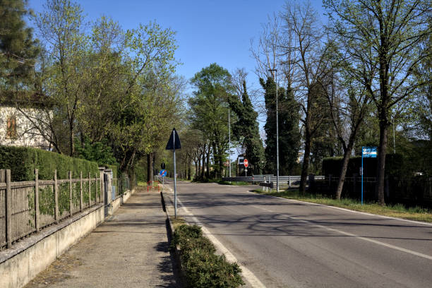 istock Country road bordered by trees on a sunny day 1462277590