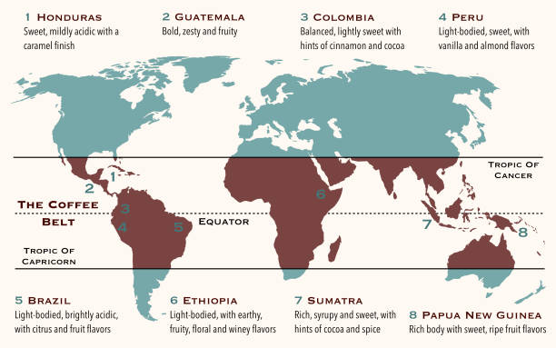 illustrazioni stock, clip art, cartoni animati e icone di tendenza di la cintura del caffè - equatore luoghi geografici