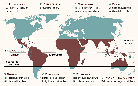 he area of the world, known as coffee belt, which includes the major coffee producing countries