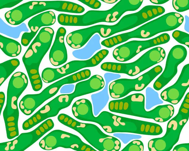 Vector illustration of Golf course layout