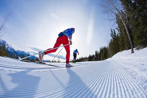 A group of men compete in a long distance cross-country ski race at the Canmore Nordic Centre Provincial Park in Alberta, Canada. They are doing the cross-country ski classic technique. The skier in the foreground carries a water bottle around his waist.  (John Gibson Photo / Gibson Pictures)