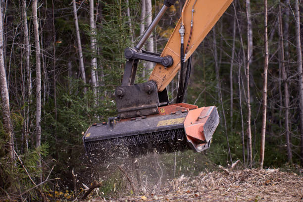 istock Mulching attachment on excavator, being used to clear roadside brush. 1462287047