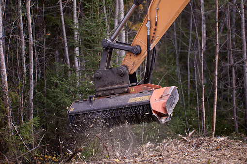 Forestry mulching is land clearing method that uses single machine to cut, grind, and clear vegetation.