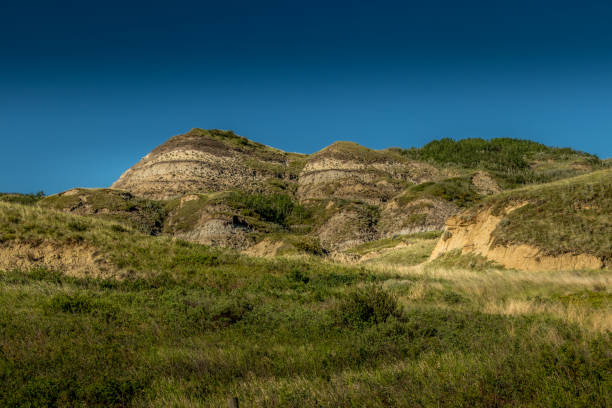 istock Tolman Badlands Hertige Range Natural Area Alberta, Canada 1462290275