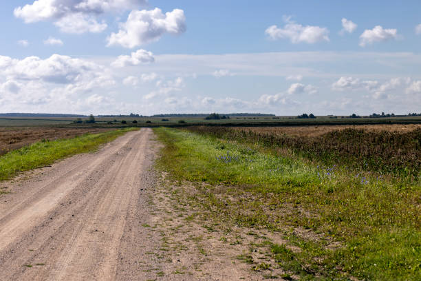 istock Unpaved highway in rural areas 1462295366