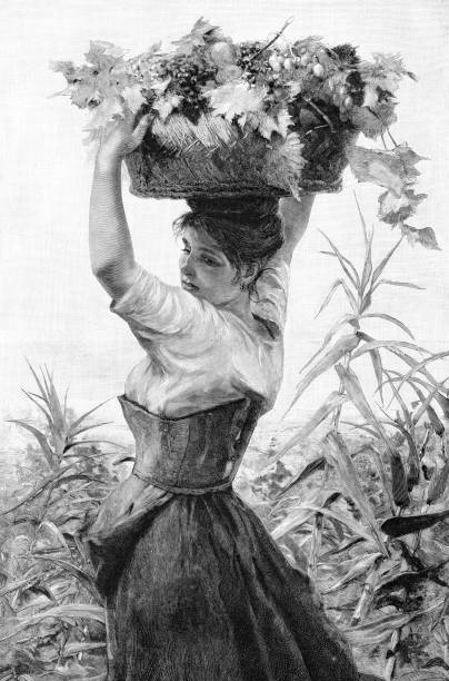 ilustrações, clipart, desenhos animados e ícones de mulher nova que transporta o vinho na cesta na cabeça 1899 - women history engraving engraved image