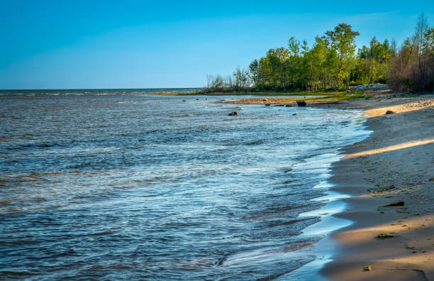istock Lake Michigan North Shoreline Beach and Treeline 1462308594