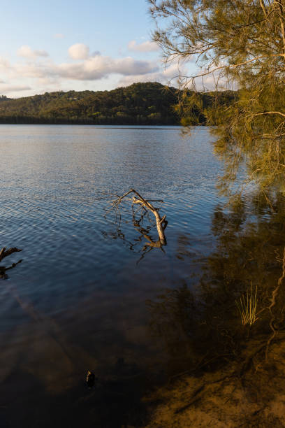 istock Sunset in the lake 1462309765